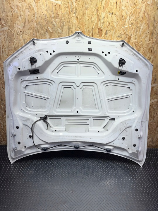 фото №10, Капот кришка двигуна bmw x3 g01 альпійський білий a300