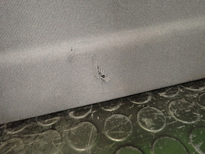 фото №8, Полиця задня audi a3 8p 03r