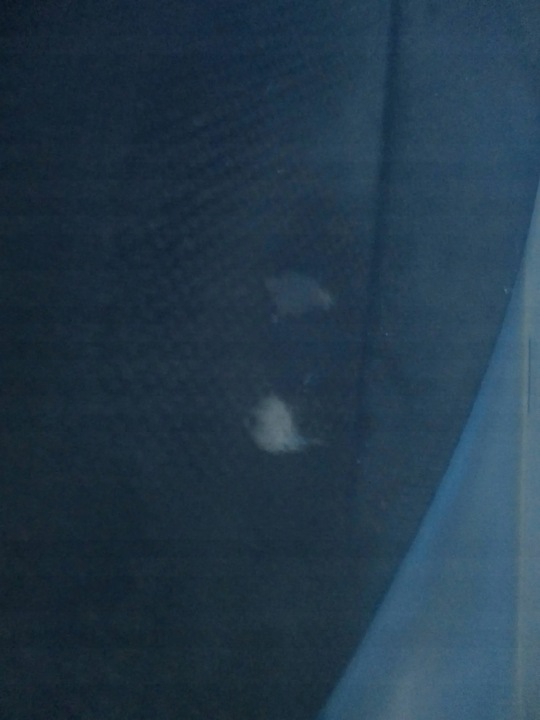 фото №6, Консоль подушка безопасности комплект оригинал seat altea европа