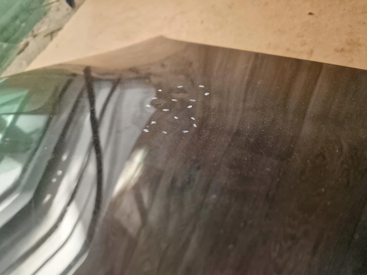 фото №6, Крышка багажника комплектная audi a5 купе 2010 ly9b