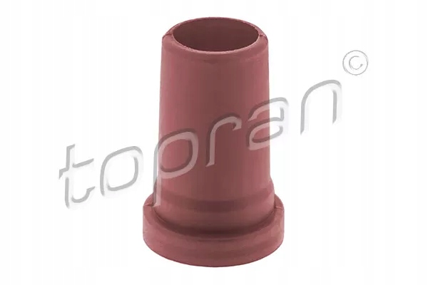 фото №2, Вставка впрыска topran