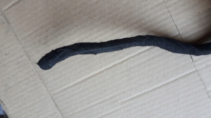 фото №2, S6 c7 4g a6 штекер роз'єм насоса гальмівної a7 s7