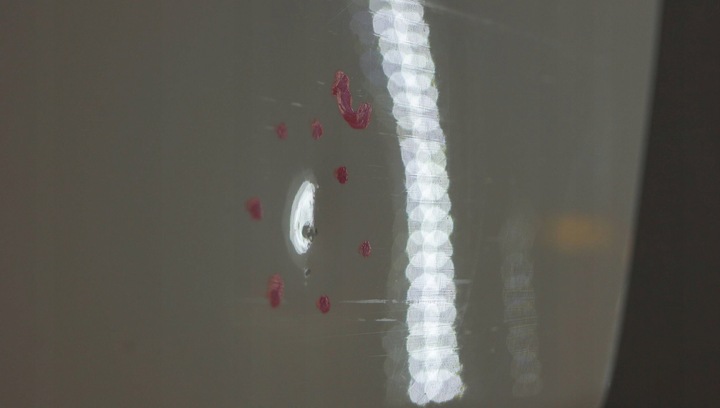 фото №12, Fiat 500 двері ліві d2027