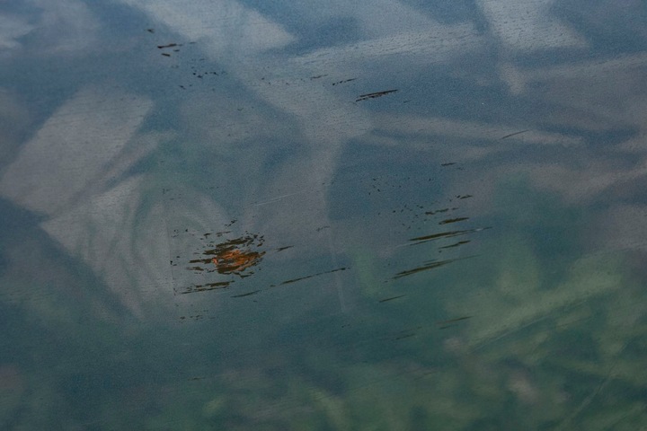 фото №7, Hyundai i40 двері зад задні праві універсал yu6