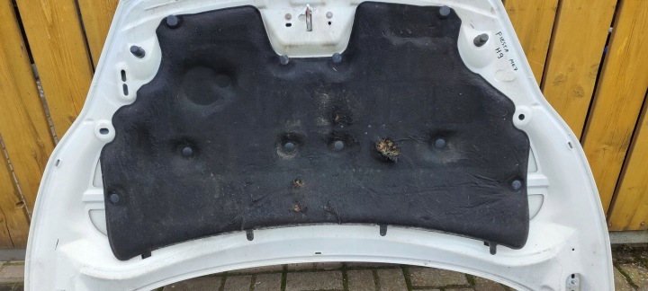 фото №12, Капот ford fiesta mk7 3d h9