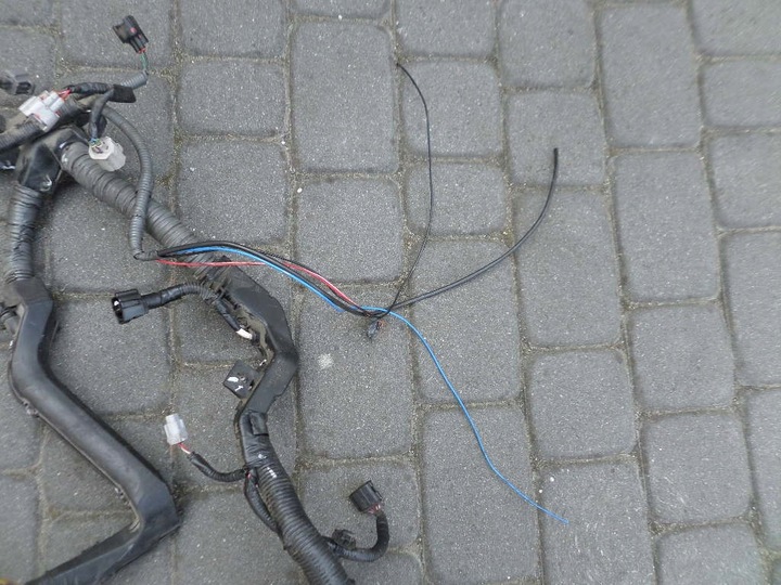 фото №5, Джгут установка двигуна avensis t27 d4d 1ad eu