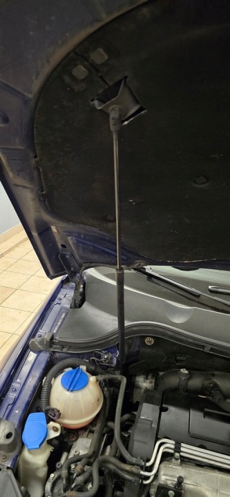 фото №9, Амортизатор капота vw passat b6 tdi 3c0823359