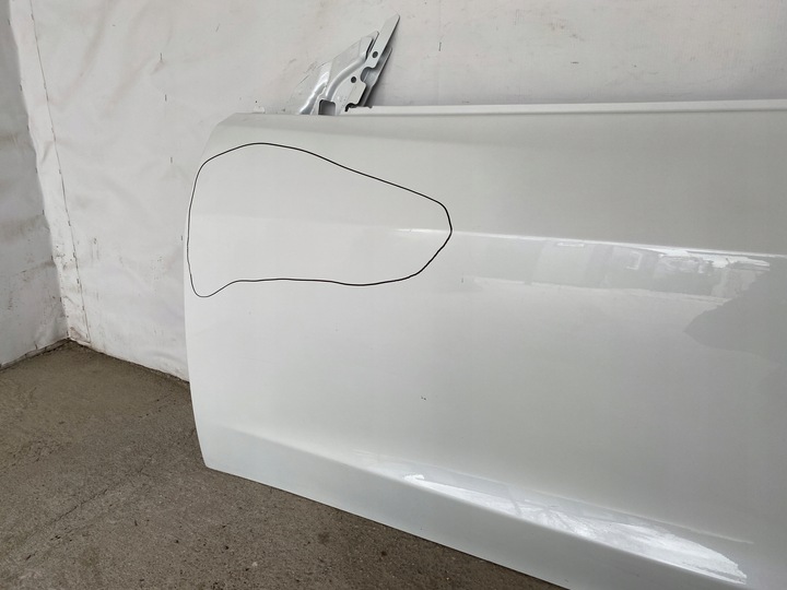 фото №10, Tesla 3 дверь левая передние