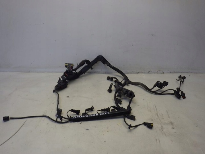 фото №1, Жгут установка двигателя sonata vi 2.0 gdi