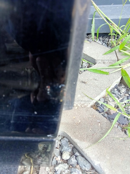 фото №13, Двері правий перед audi a6 c6 рестайлінг чорні ly9b