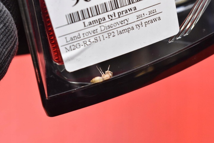 фото №8, Лампа правая зад задняя fk72-13404-ag land rover discovery sport 5 v 15-21