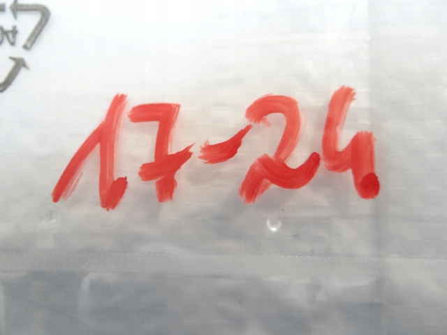 фото №13, Peugeot 308 t9 рестайлінг gt line решітка решітка решітка радіатора бампера хром рамка логотип