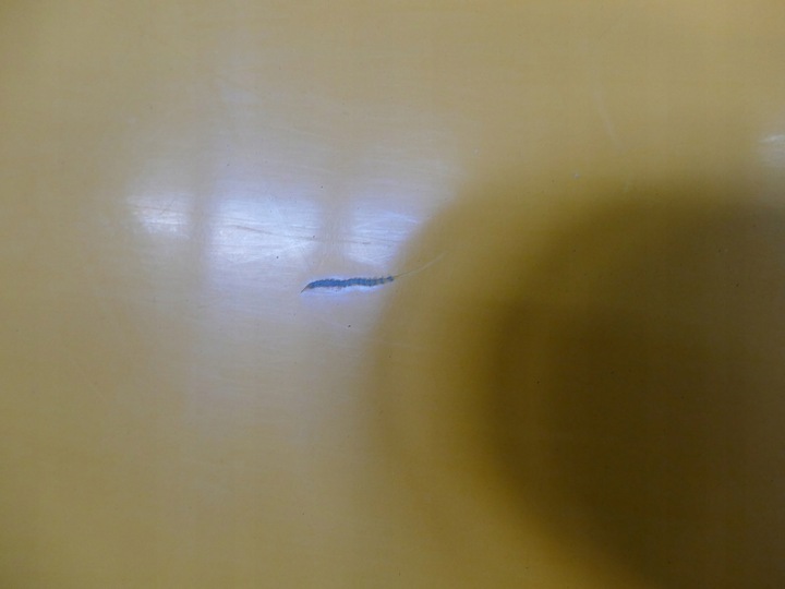 фото №10, Fs lublin iii intrall 3 двері праві перед праві передні 05r