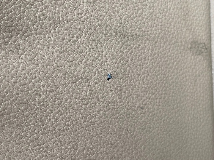 фото №9, B1 porsche macan s 2015 3.0 сиденье левый перед комплектный комплектный