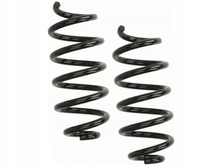 фото №1, Пружины зад kyb ra7149