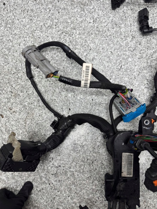 фото №12, Жгут установка двигателя 1.5 hdi combo e iv berlingo partner 9821963880