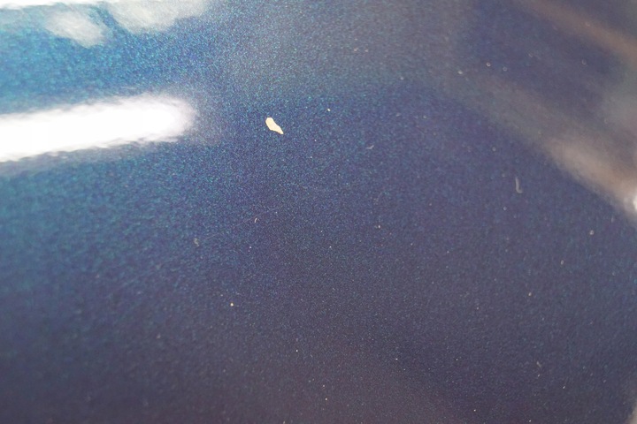 фото №5, Крило правий перед peugeot 308 t7 kgn