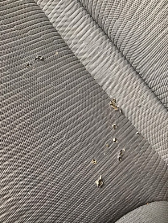 фото №7, Peugeot partner ii citroen berlingo 08-18 сидіння лівий водія європа