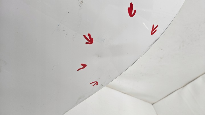 фото №9, Дверь перед передние правые mercedes e-klasa w213 a2137220210