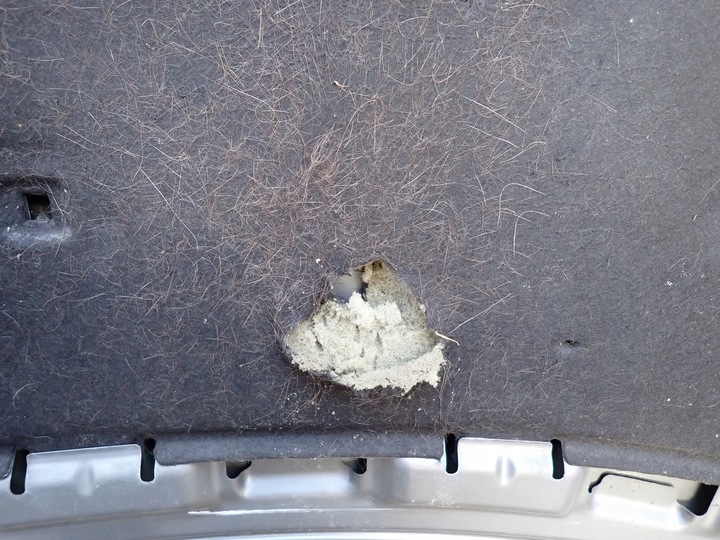 фото №10, Капот крышка двигателя skoda fabia 2 ii roomster 5j 2006-2010r 5j0823031a