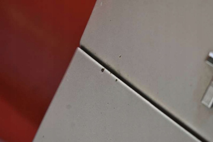 фото №6, Крышка багажника зад задняя 1f7 toyota rav 4 3 iii 05-08