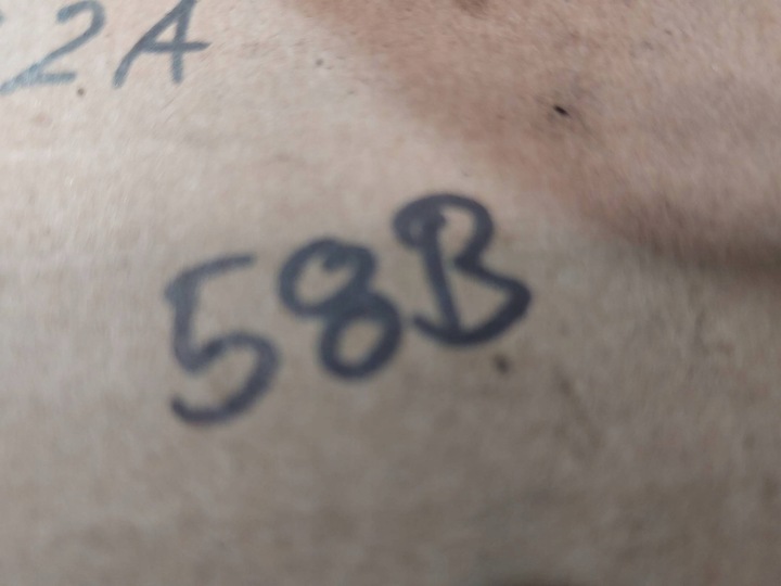 фото №6, Датчик уровня масла bmw 5 e39 525tds m51d25 256t1 1433510