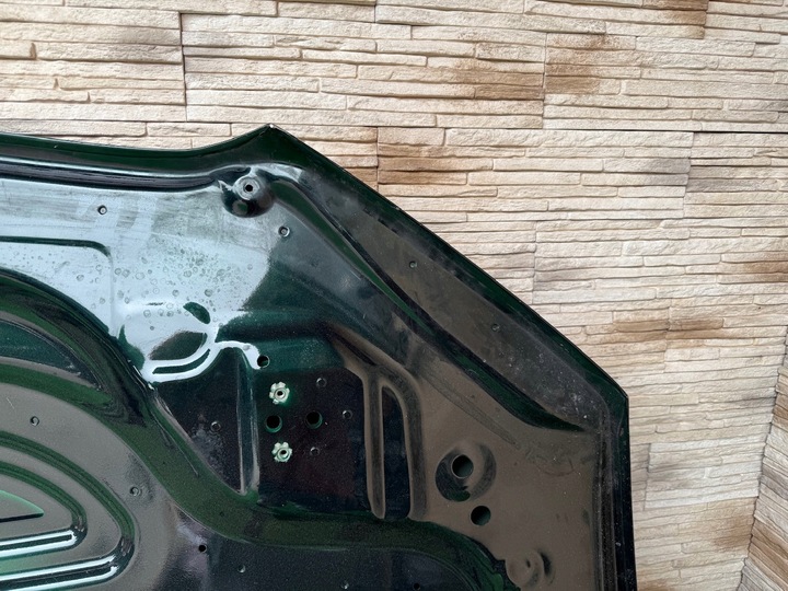 фото №11, Капот bmw x5 g05 x5m f95 x6 g06 x6m f96