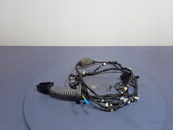 фото №1, Bmw x5 g05 джгут двері задніх праві зад 8779817