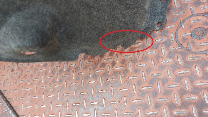 фото №11, Підкрилок правий перед toyota rav4 v 18-