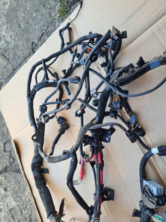 фото №6, Джгут двигуна 1.6 dci energy 130 r9m megane scenic qashqai x-trail kajdar