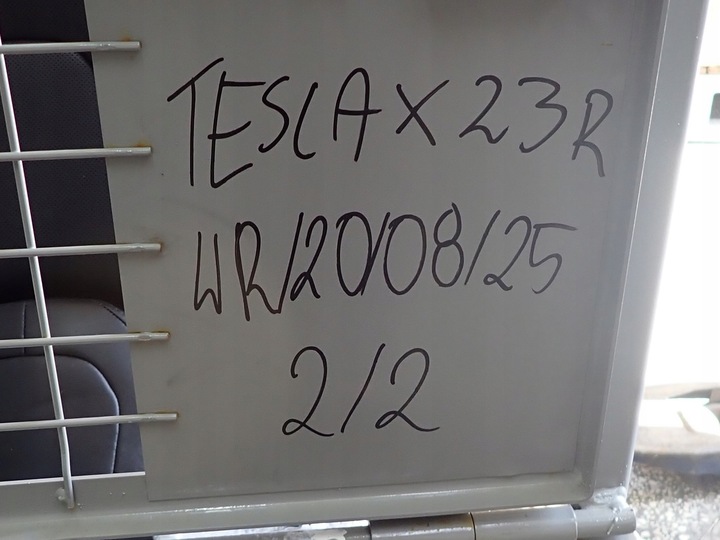 фото №16, Комплект сидінь європа оригінал шкіра tesla модель x 7-osób 23r