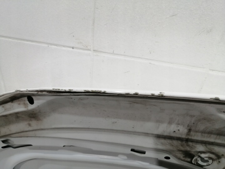 фото №12, Капот vw transporter t6 hal 8563