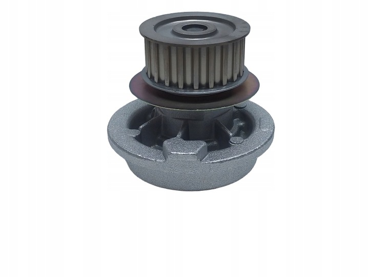 фото №13, Насос води dolz o128 1334038