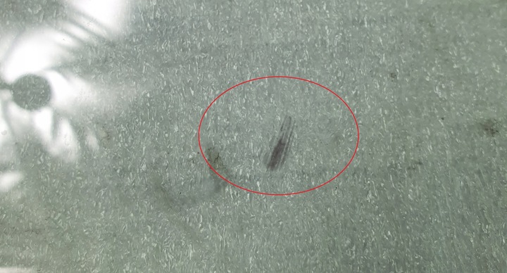 фото №10, Скло права перед infiniti qx70 ii fx35 fx50 fx qx