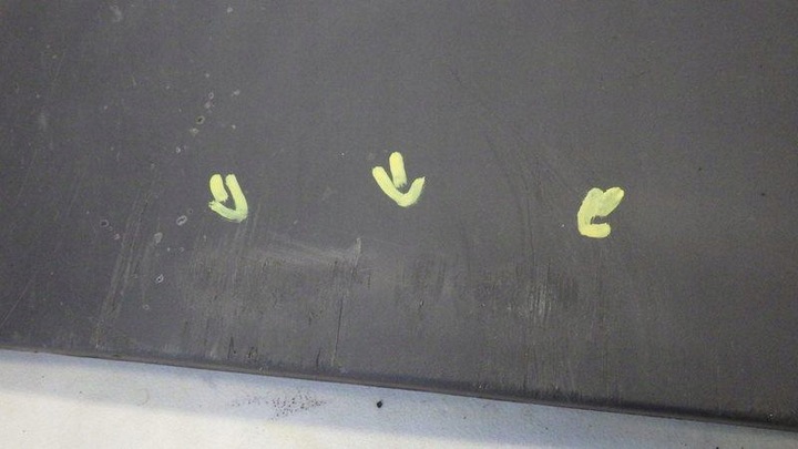 фото №6, Планка крила лівий зад ducato iii boxer jumper ii l3h2 1305769070