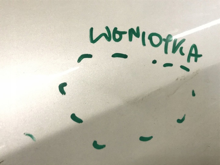 фото №5, Дверь зад задние правые tesla y