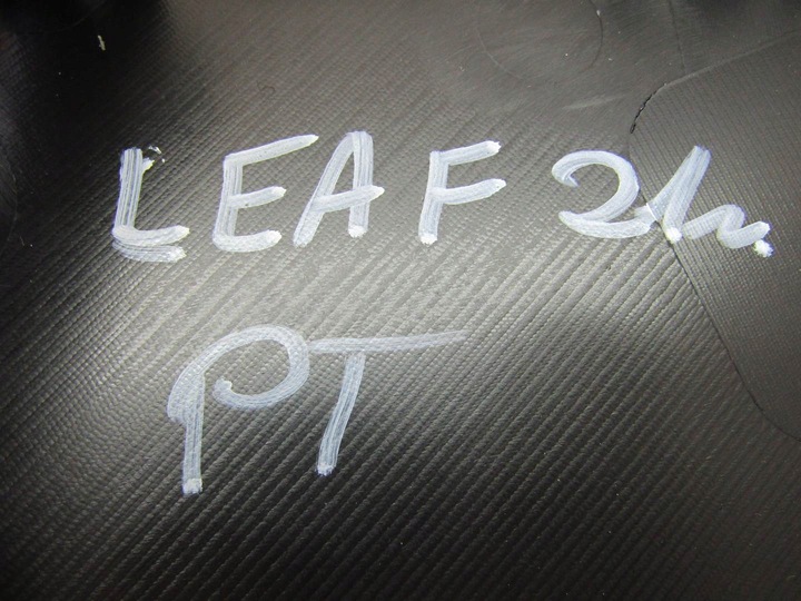 фото №9, Leaf ii ze1 21r боковина багажника правый зад задний задний обивка 849505sh0b