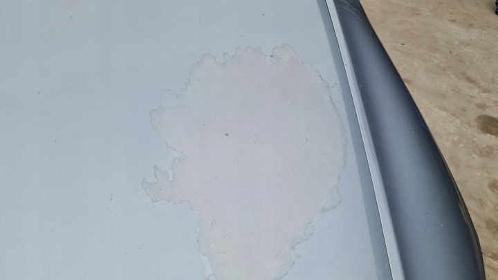 фото №8, Капот кришка двигуна audi a6 c6 ly7h lubelskie