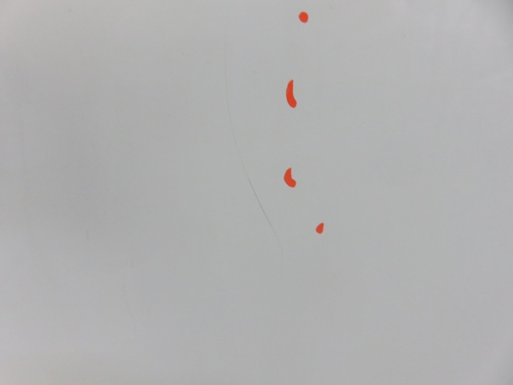 фото №7, Двері праві передні iveco daily vi фургон