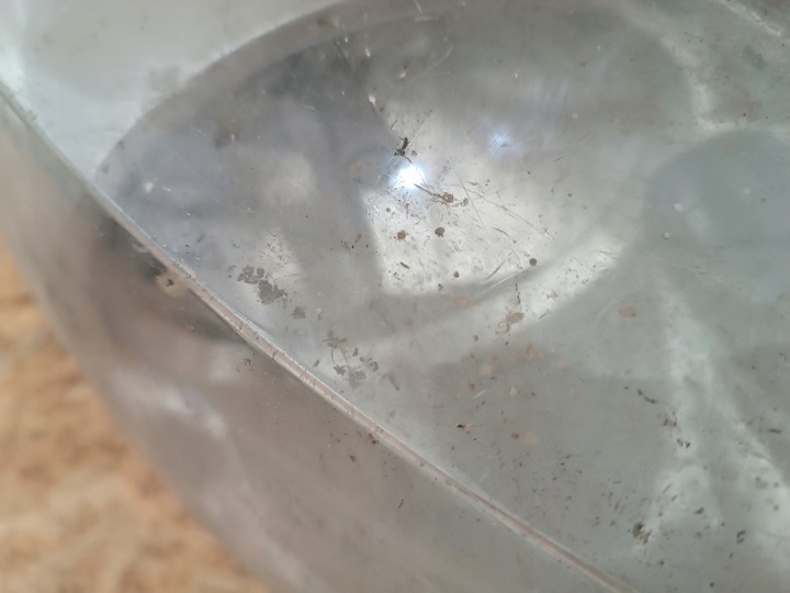 фото №11, 89900879 лампа правые перед eu peugeot 207