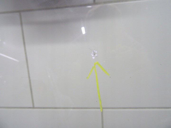 фото №9, Скло лобове skoda scala 657845011k