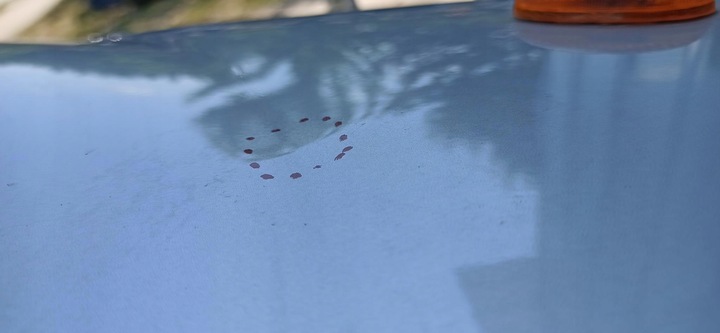 фото №8, Крыло левый перед chevrolet aveo t200 kalos 95u