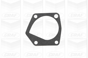 фото №2, Насоса воды graf pa966