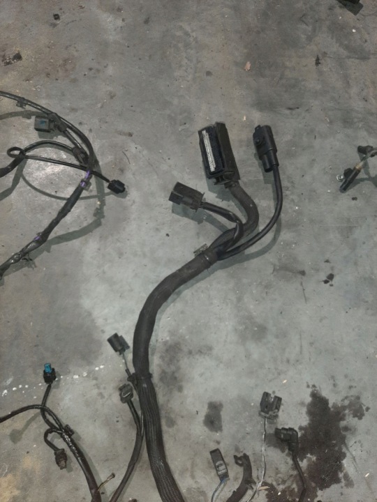 фото №7, Mercedes w207 джгут проводки двигун a6421505788