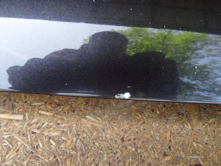 фото №7, Audi a3 8p рестайлінг 08-12 капот кришка двигуна оригінал oem lz7l 8p0823373