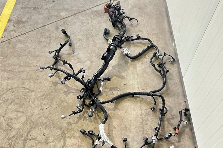 фото №8, Джгут двигуна renault 240119399s 1.6l 2024