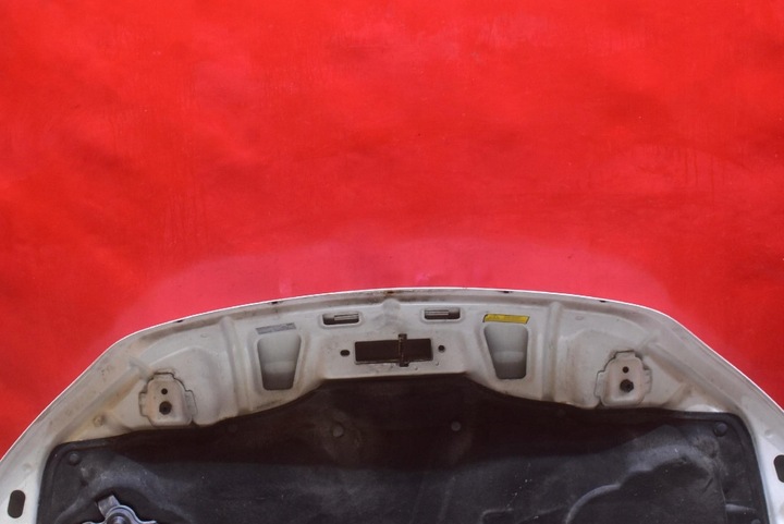 фото №14, Капот кришка двигуна біла iveco daily 6 vi 14-