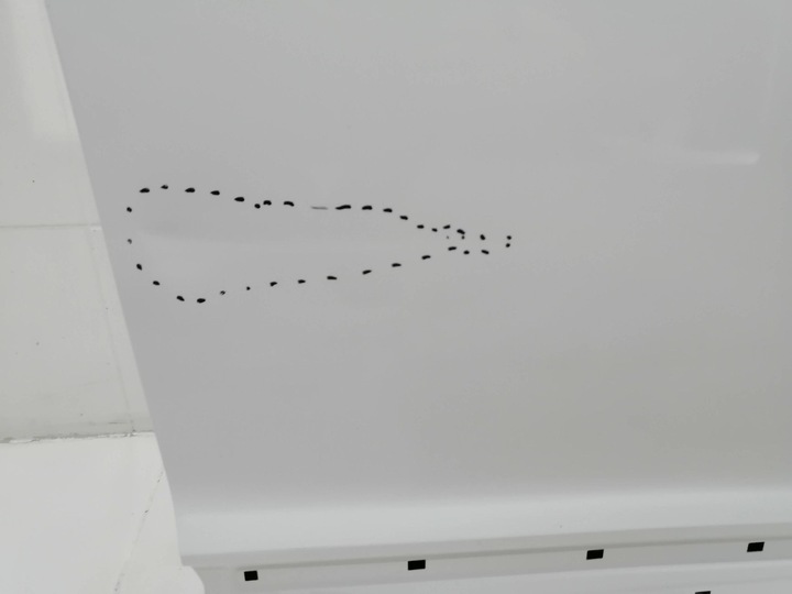 фото №6, Двері праві передні перед hyundai kona i hal 8920