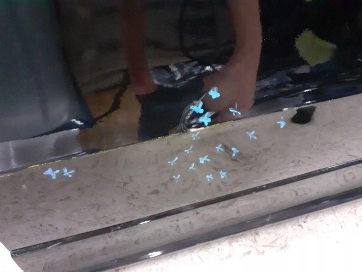 фото №8, Дверь зад задние левая audi q5 8r0 2008-2016r