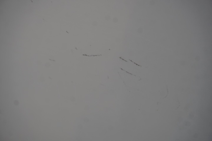 фото №10, Suzuki baleno fe дверь задние левая 26u белый 2019год стекло